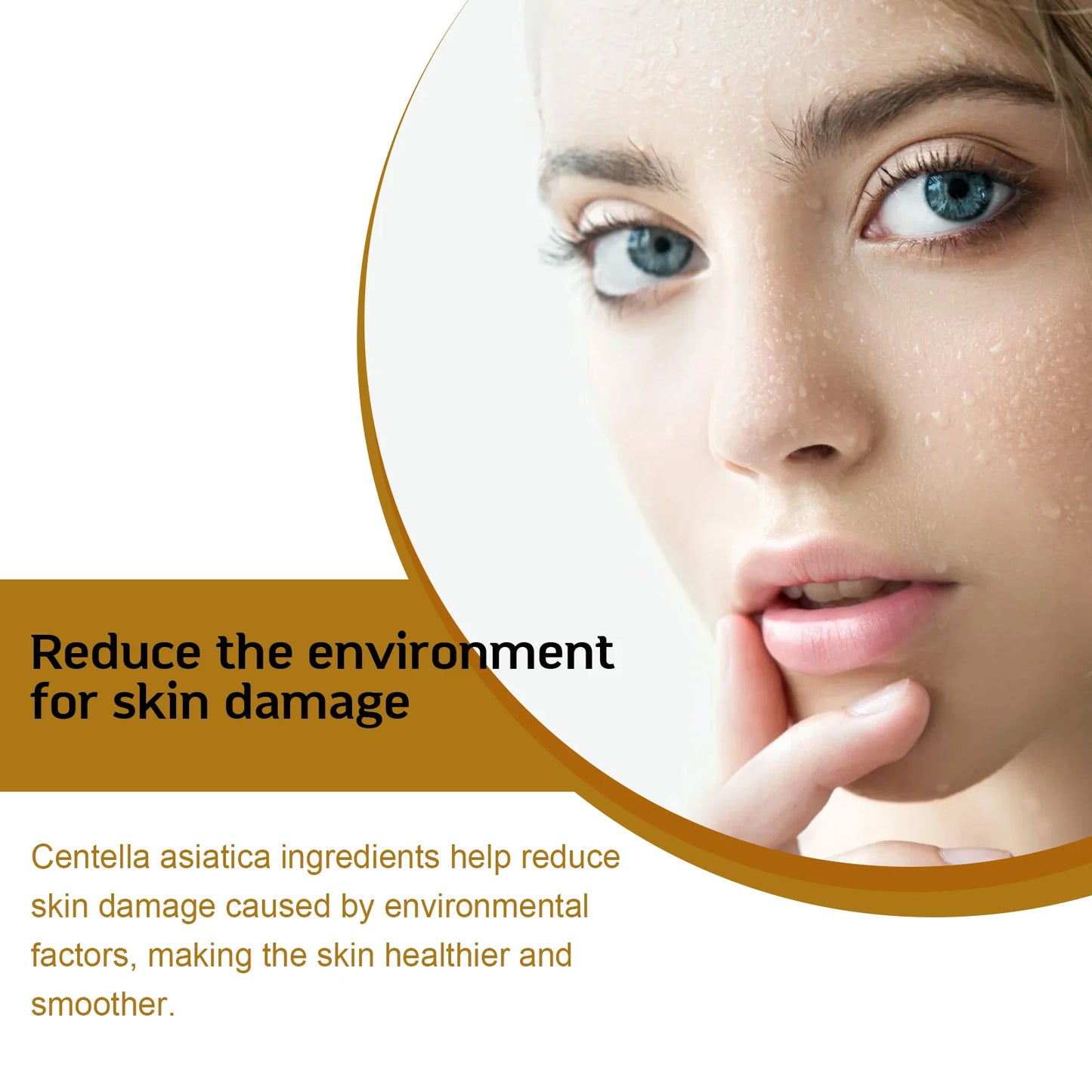 Centella Asiatica Face Serum Nourish Dry Skin Smoothing Rejuvenation Skin Brightening Whitening Cream Facial Moisturizer Korean